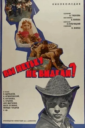 Постер к фильму Вы Петьку не видели? (1975)