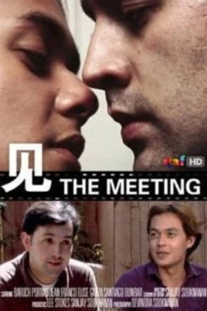 Постер к фильму The Meeting (2009)