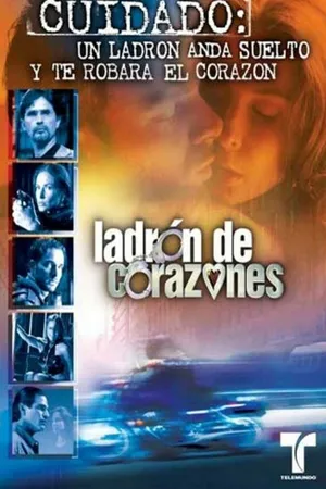 Постер к сериалу Под маской мстителя (2003)