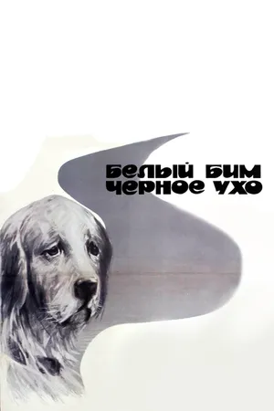 Постер к фильму Белый Бим Черное ухо (1976)