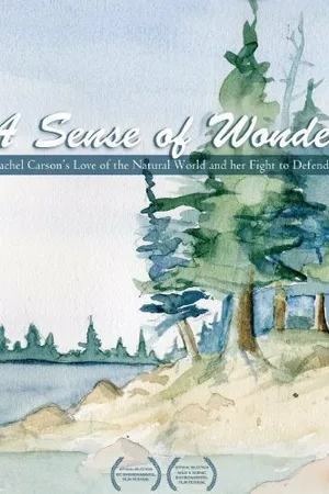 Постер к фильму A Sense of Wonder (2008)