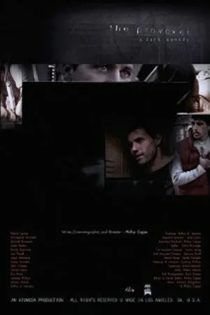 Постер к фильму The Provoker (2002)