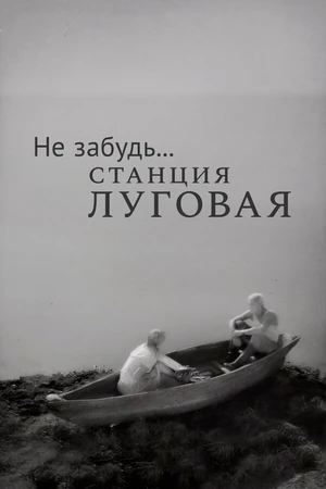Постер к фильму Не забудь... станция Луговая (1966)