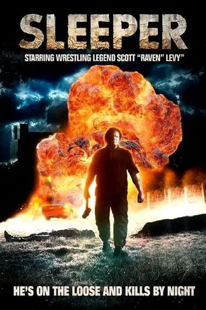 Постер к фильму Спящий (2012)