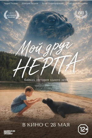 Постер к фильму Мой друг нерпа (2023)