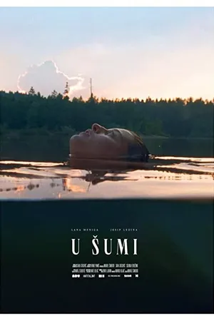 Постер к фильму U sumi (2020)