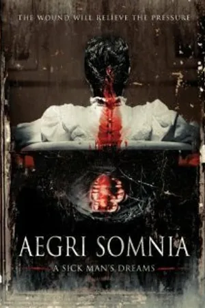 Постер к фильму Aegri Somnia (2008)