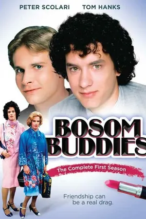 Постер к сериалу Закадычные друзья (1980 - 1982)