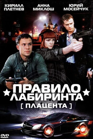 Постер к сериалу Правило лабиринта: Плацента (2009)