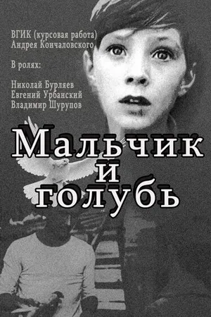 Постер к фильму Мальчик и голубь (1961)