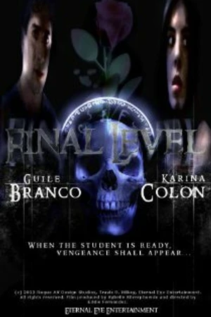 Постер к фильму Final Level (2011)