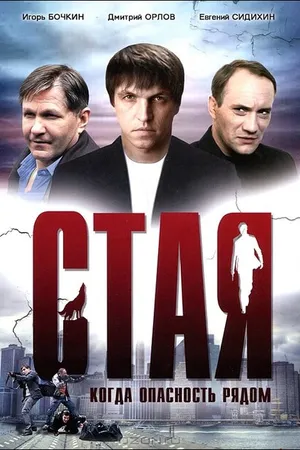 Постер к фильму Стая (2005)