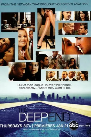 Постер к сериалу В паутине закона (2010)