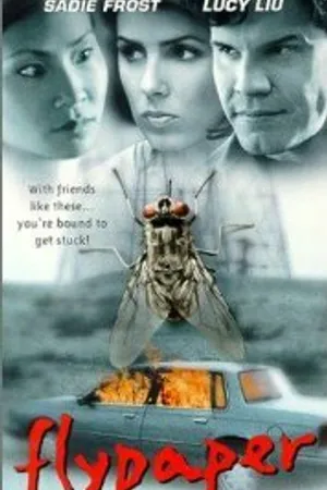 Постер к фильму Мухоловка (1997)