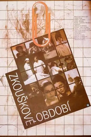 Постер к фильму Zkouskové období (1991)