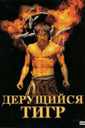 Постер к фильму Дерущийся тигр (2008)