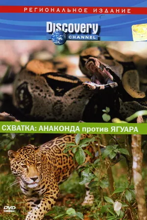 Постер к фильму Discovery. Схватка: Анаконда против ягуара (2004)