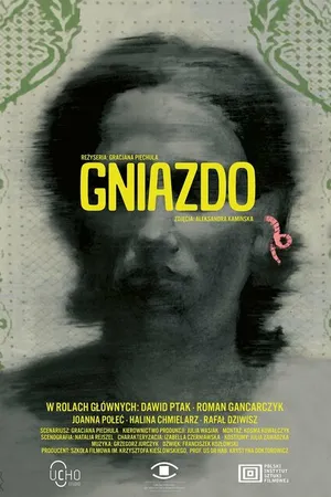 Постер к фильму Gniazdo (2021)