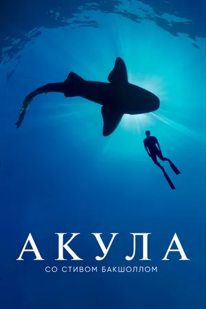 Постер к сериалу Акула со Стивом Бакшоллом (2021)
