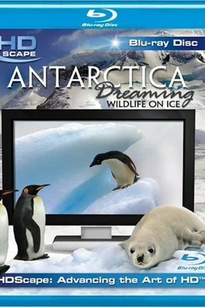 Постер к фильму Антарктика — Дикая жизнь на льду (2006)