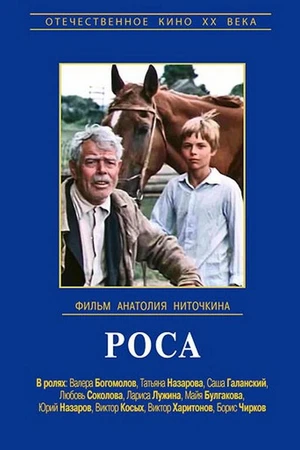 Постер к фильму Роса (1975)