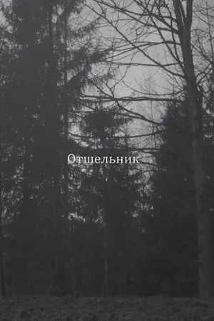Постер к фильму Отшельник (2018)