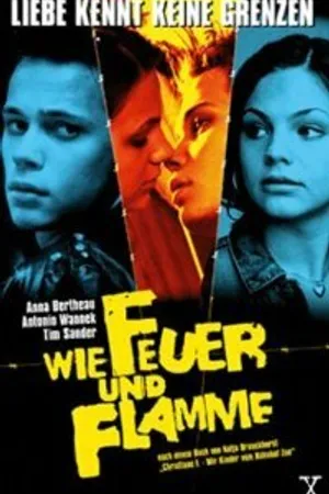 Постер к фильму Как огонь и пламя (2001)