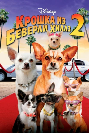 Постер к фильму Крошка из Беверли-Хиллз 2 (2010)
