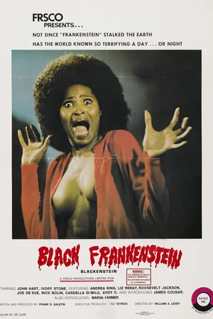 Постер к фильму Блэкенштейн (1973)