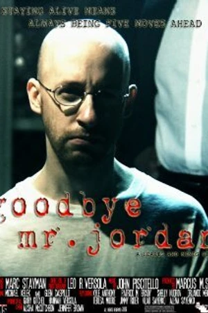 Постер к фильму Goodbye Mr. Jordan (2009)