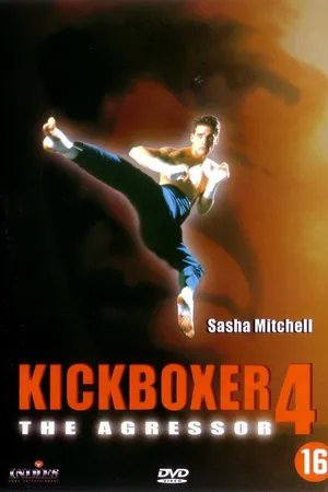 Постер к фильму Кикбоксер 4: Агрессор (1994)