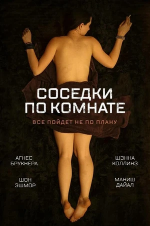 Постер к фильму Соседки по комнате (2011)