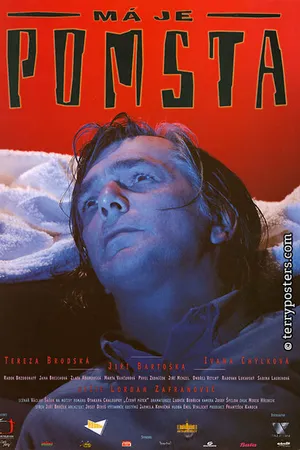Постер к фильму Я отомщу (1995)