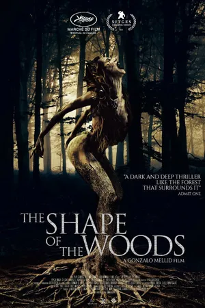 Постер к фильму Форма леса (2021)