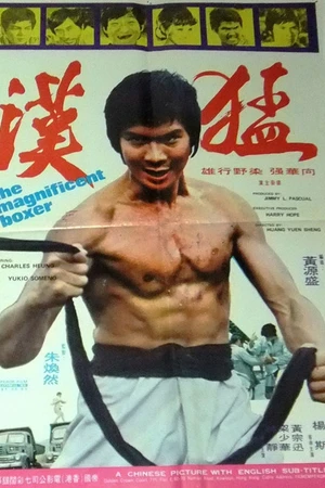 Постер к фильму Meng han (1973)