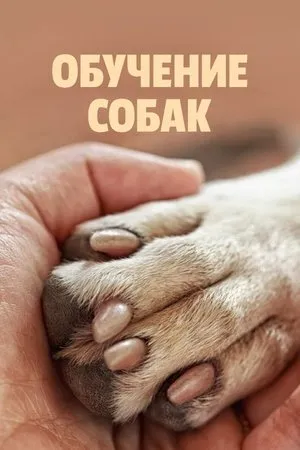 Постер к сериалу Canine Intervention (2021)
