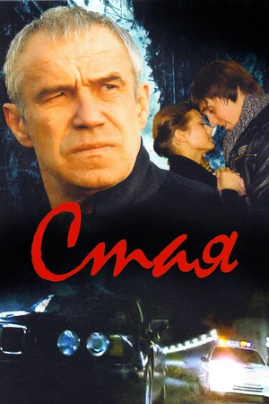 Постер к фильму Стая (2008)