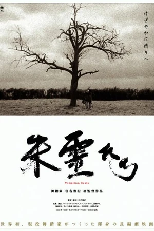 Постер к фильму Вермилион душ (2007)