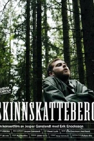 Постер к фильму Скиннскаттеберг (2008)