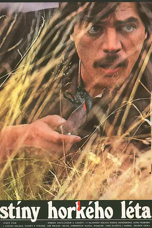Постер к фильму Тени знойного лета (1978)