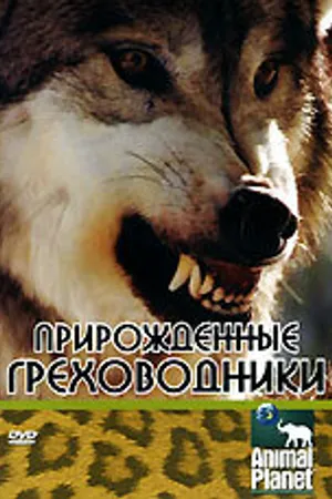 Постер к фильму Прирожденные греховодники (2003)