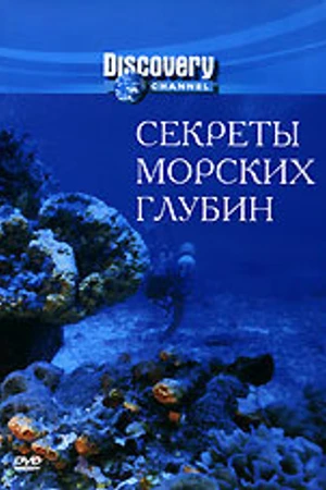 Постер к фильму Секреты морских глубин (1998)