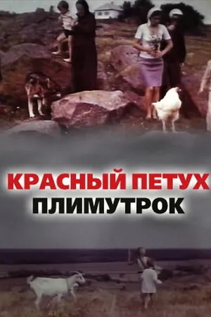 Постер к фильму Красный петух плимутрок (1975)