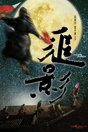 Постер к фильму В погоне за тенью (2009)