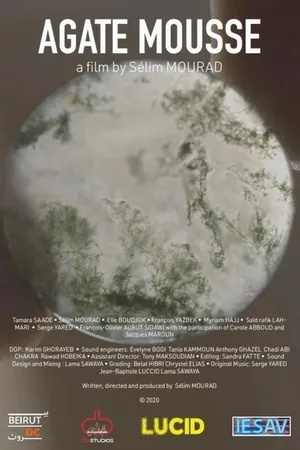 Постер к фильму Моховой агат (2021)