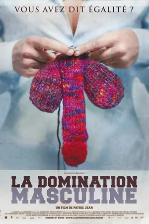 Постер к фильму La domination masculine (2009)