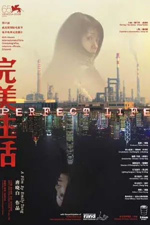 Постер к фильму Идеальная жизнь (2008)
