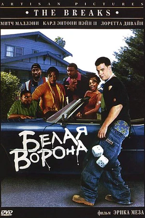 Постер к фильму Белая ворона (1999)