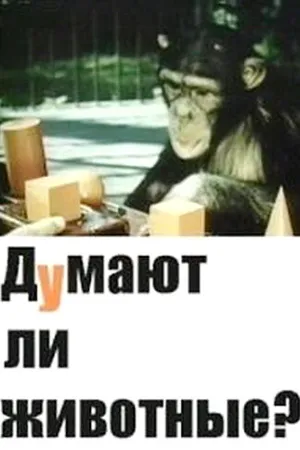 Постер к фильму Думают ли животные? (1970)