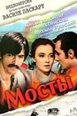 Постер к фильму Мосты (1973)